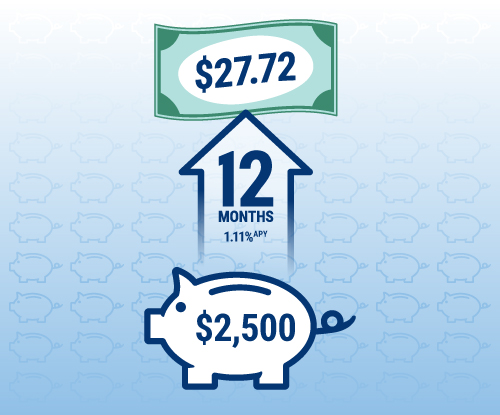 An RBFCU Choice Money Market account with $2,500 invested for 12 months with a 1.21% APY would earn $30.25.