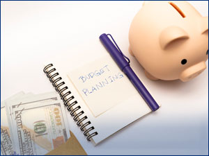 cash budget planner and piggy bank