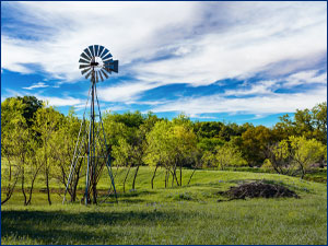 land with mature trees and windmill