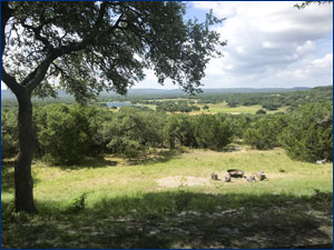 a plot of land with trees