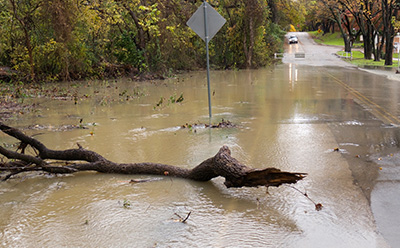 Responding to Disaster: Floods and Water Damage