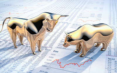 Bear vs. Bull Markets: What You Need to Know