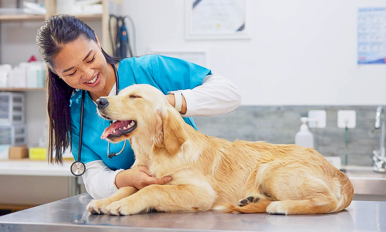 veterinarian with dog