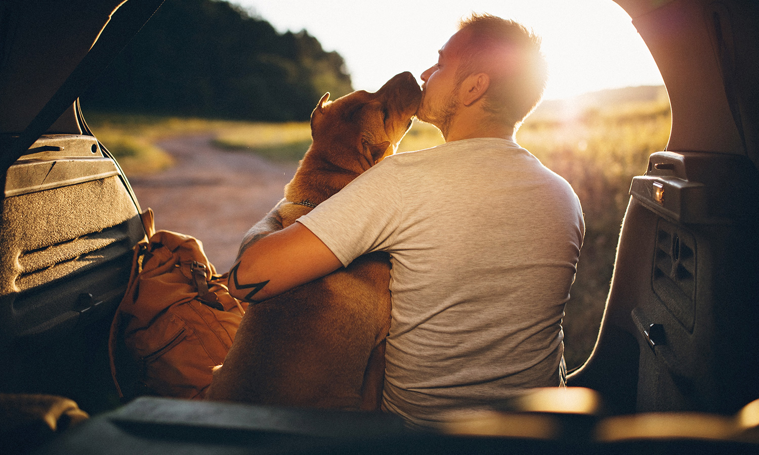 Man with arms around a dog while sitting in the back of a car.