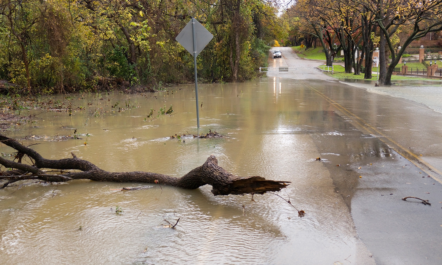 Street flooding with a broken tree limb in the road.