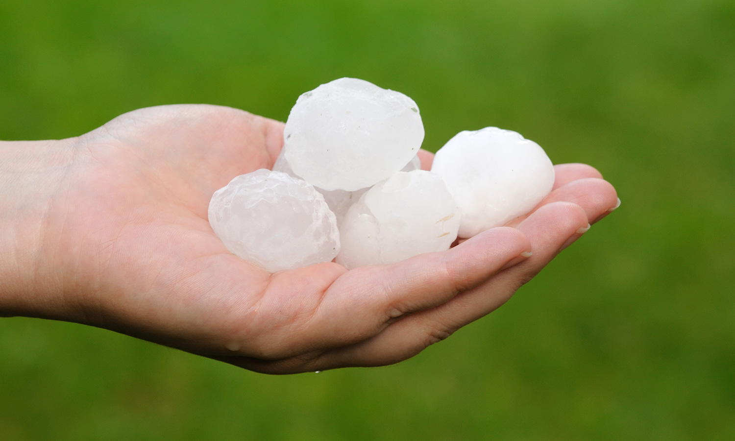 Hand holding hailstones